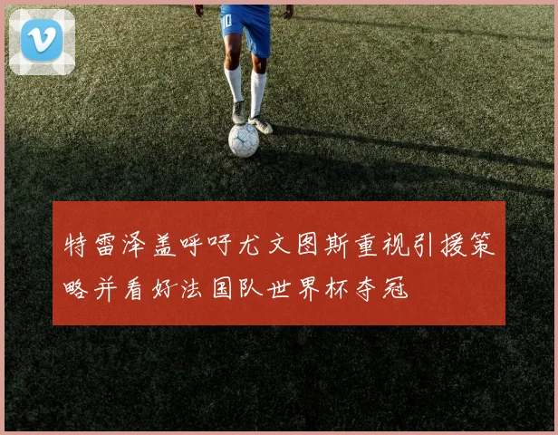 特雷泽盖呼吁尤文图斯重视引援策略并看好法国队世界杯夺冠